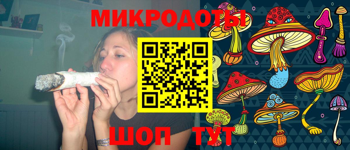 Пугачёв  Галлюциногенные грибы Psilocybine cubensis  Вход с VPN 